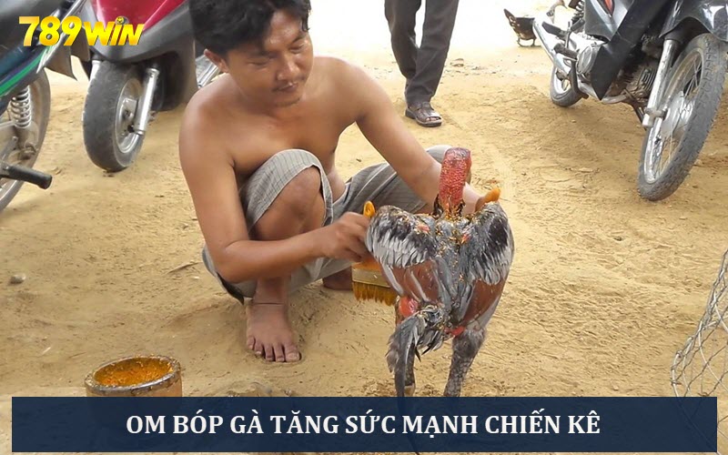 Tiến hành om bóp gà để tăng cường sức khoẻ