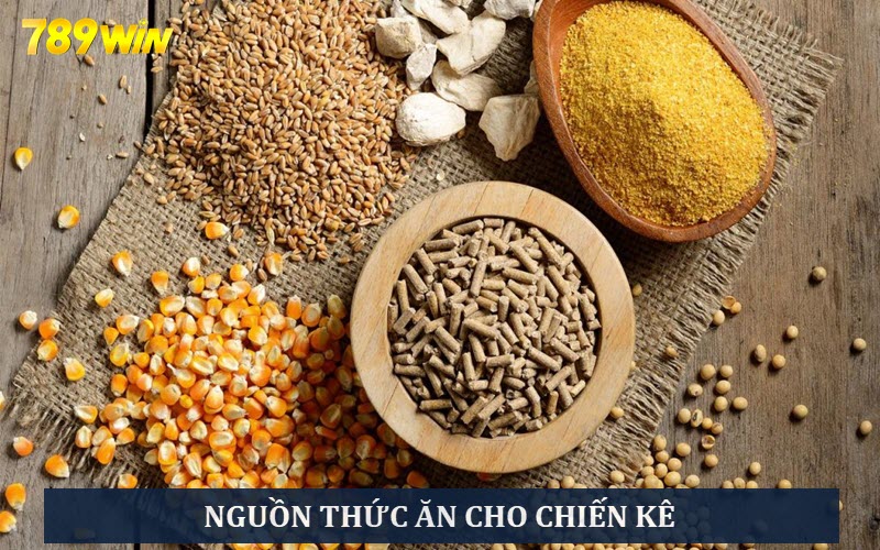 Nguồn thức ăn dồi dào khi nuôi chiến kê