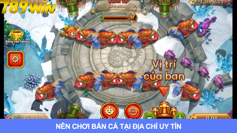 Chọn cổng game uy tín để chơi bắn cá